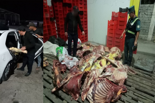 Из Самарканда в Ташкент пытались перевезти мясо в салоне легкового автомобиля и без ветеринарных документов