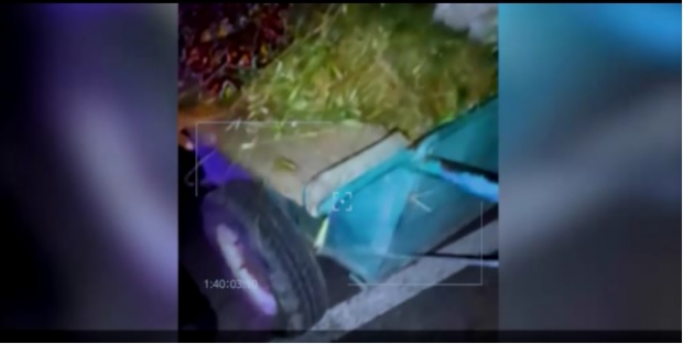 Сотрудниками УВД Ташкентской области в гужевой повозке были выявлены наркотические вещества