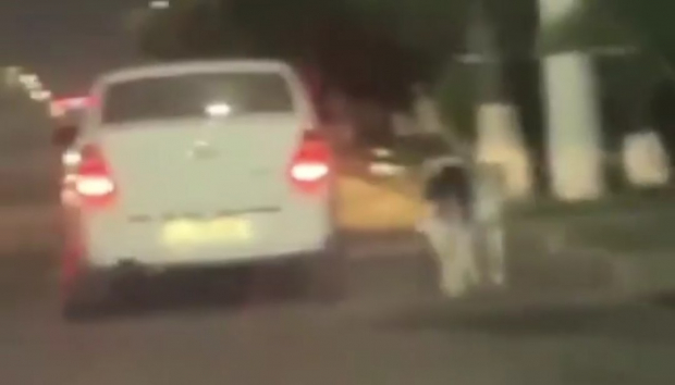 В Узбекистане к движущемуся автомобилю привязали собаку — видео
