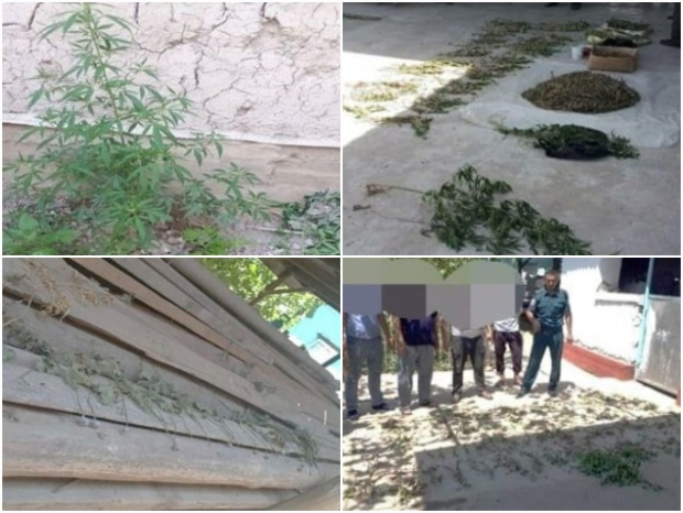 В доме жителя Сырдарьинской области нашли более 4кг наркотических веществ