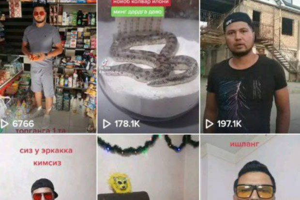 Житель Джизакской области распространяет фейковую информацию о ядовитых змеях через интернет
