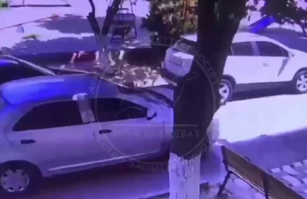В Ташкенте водитель автомобиля «Cobalt» совершил умышленный наезд на кота