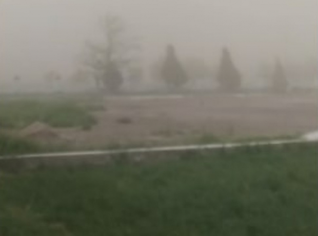 В Кашкадарьинской области наблюдается пыльная буря