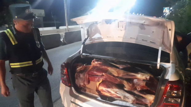 Пресечен очередной случай незаконной перевозки мяса из Кашкадарьи в Ташкент