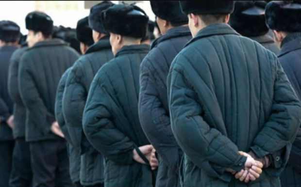 Стало известно о количестве помилованных заключённых, за последние 6 лет в Узбекистане