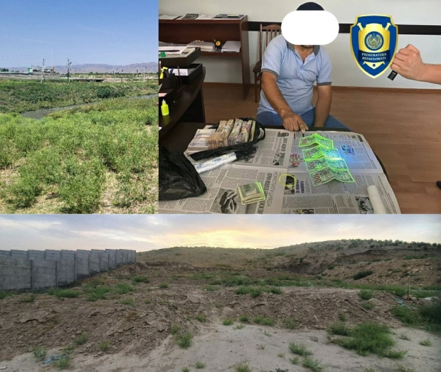 Очередные случаи мошенничества с земельными участками пресечены в Узбекистане
