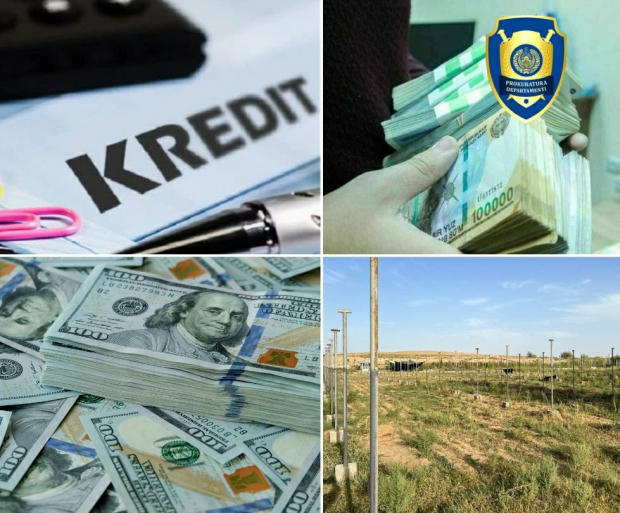 В двух регионах Узбекистана выявлены хищения кредитов общей суммой более 4 млрд сум