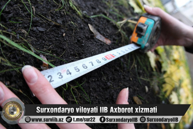 В Сурхандарье за продажу чужого земельного участка гражданину грозит до 8 лет лишения свободы