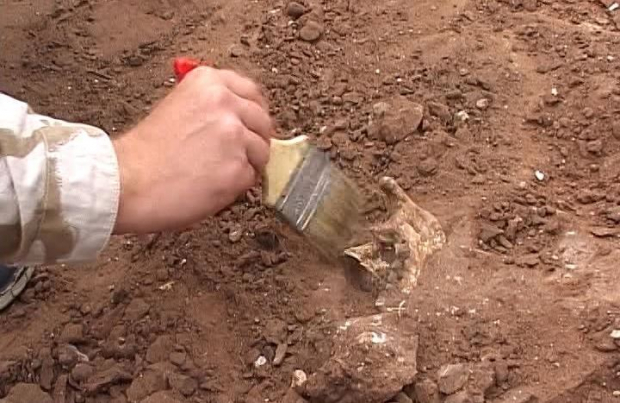 В Навоийской области гражданин в своём доме обнаружил закопанные кости, похожие на человеческие