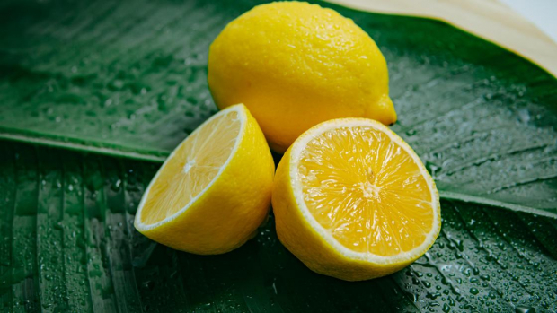 Узбекистан отправил в Россию 1,7 тысячу тонн лимонов