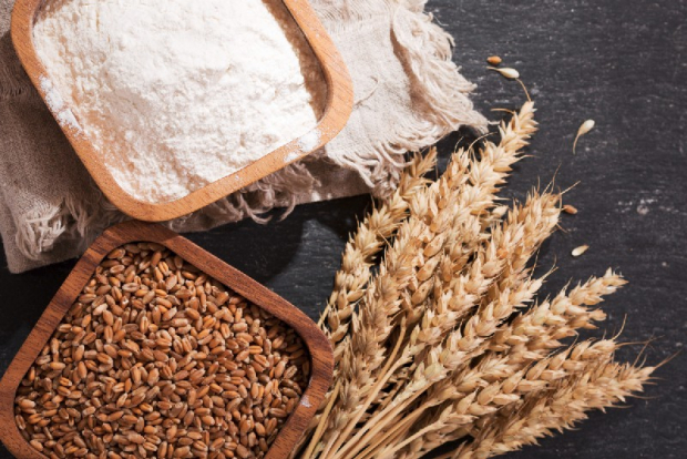 Узбекистан закупил тысячи тонн высокоурожайных сортов пшеницы