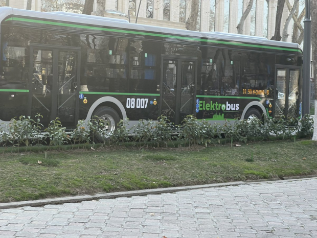Узбекистан закупит 300 электробусов