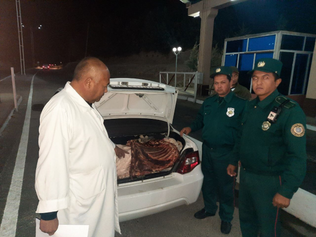 Из Кашкадарьи в Ташкент пытались незаконно перевезти 110кг некачественного мяса