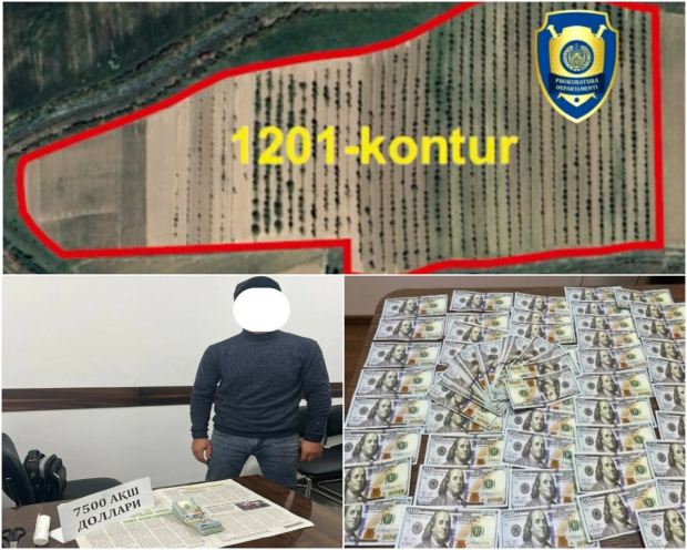 В Кибрае мошенник пообещал за 30 тыс. долларов выиграть онлайн-аукцион на 90 га земли