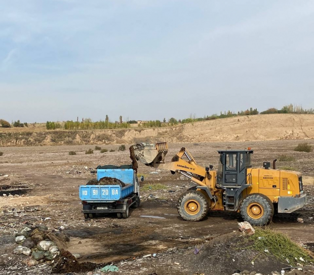 В Ташкентской области обнаружили около 2 тонн мёртвых кур