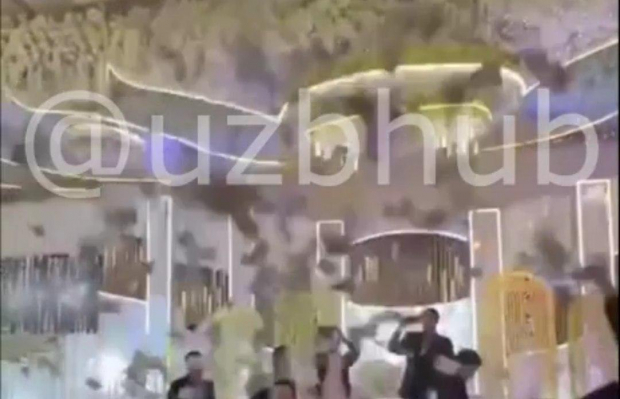 На узбекской свадьбе устроили многомиллионный дождь из денег — видео