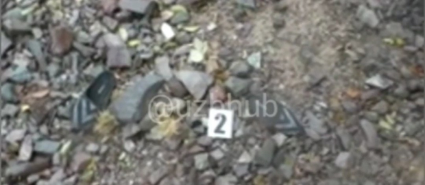 В Джизаке мужчина убил и сжег беременную супругу и ребенка — видео