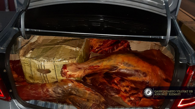 Из Сурхандарьи в Ташкент незаконно перевозили 250кг мяса в автомобиле «Cobalt»