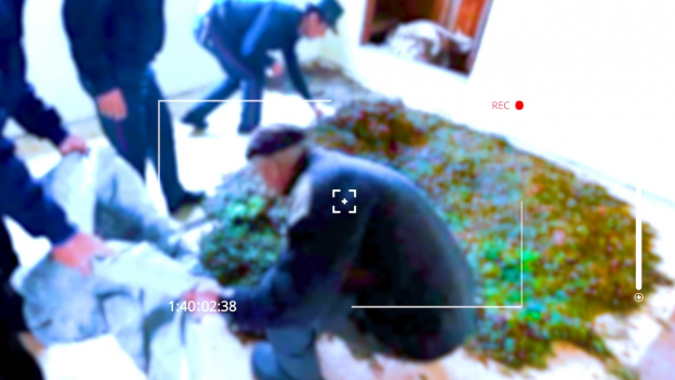 В Ташкентской области у гражданина изъяли более 17кг марихуаны