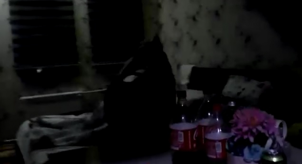 Пресс-службой УВД Бухарской области опубликовано видео оперативной съёмки выявления притона разврата