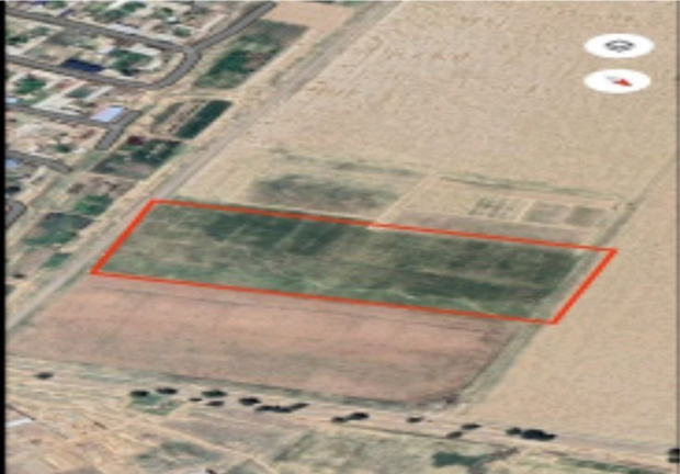 В Джизаке фермер пытался незаконно продать арендованную землю