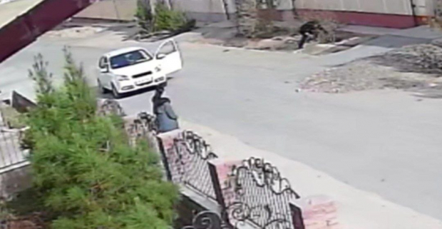 В Навои появился таксист, стреляющий из пневматического ружья по птицам — видео