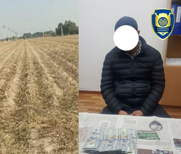 В Навои гражданин пытался незаконно продать землю государственного резерва за 220 млн сум