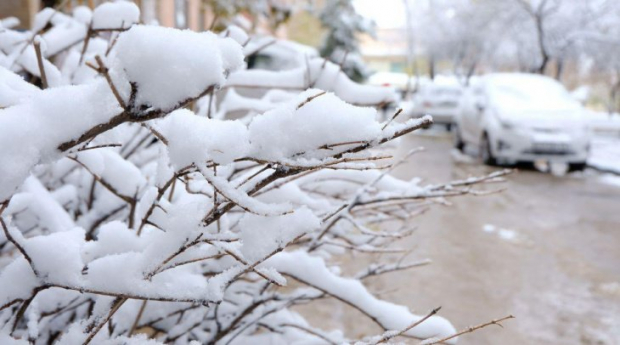 Когда в Узбекистане снова ожидается снег?