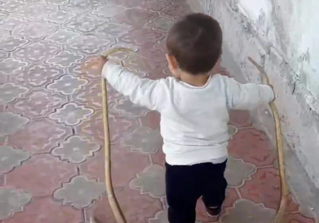«Заклинатель змей»: Житель Узбекистана показал, как его маленький сын играет со змеями — видео