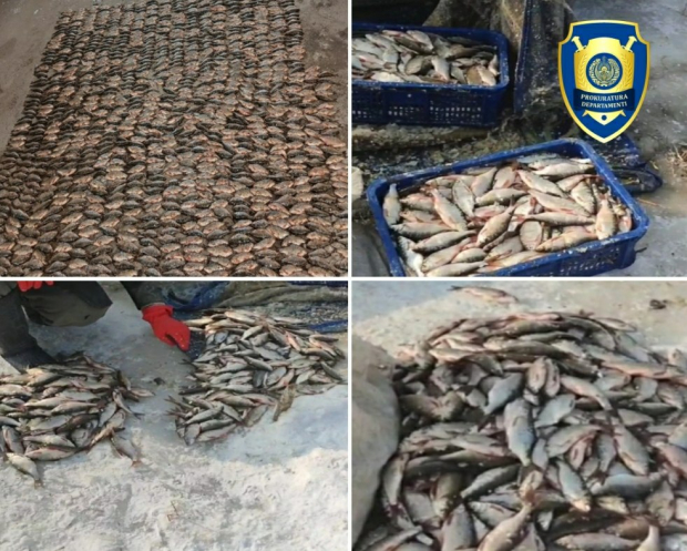 В Узбекистане задержали браконьеров, которые промышляли незаконной ловлей рыбы