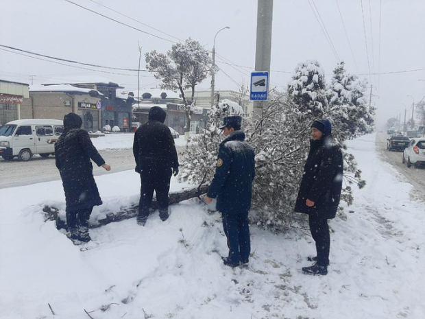 В Узбекистане поддержат людей, работавших во время аномальных холодов