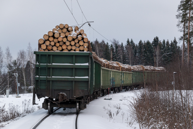 Российские лесопромышленники боятся потерять рынок Узбекистана