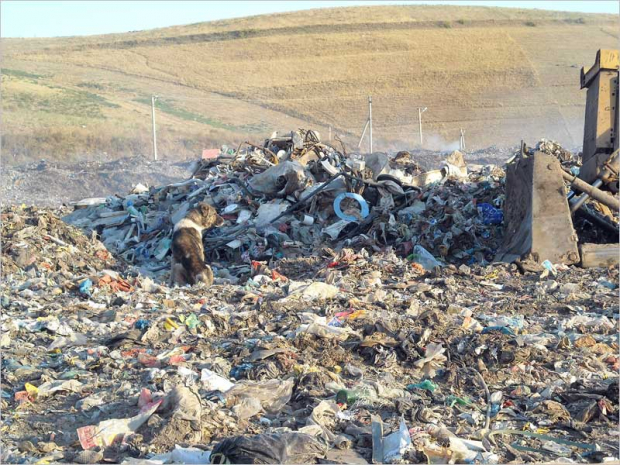 Шавкат Мирзиёев раскритиковал работу «Махсустранс»