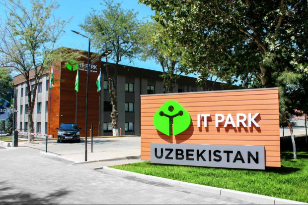 В Узбекистане учебные центры получат субсидии за трудоустройство выпускников в сфере IT