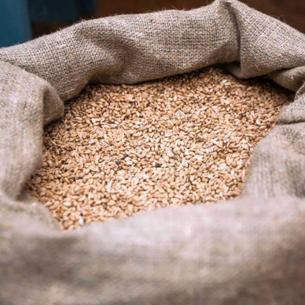 Узбекистан и Афганистан активно покупают «серое» зерно из Казахстана