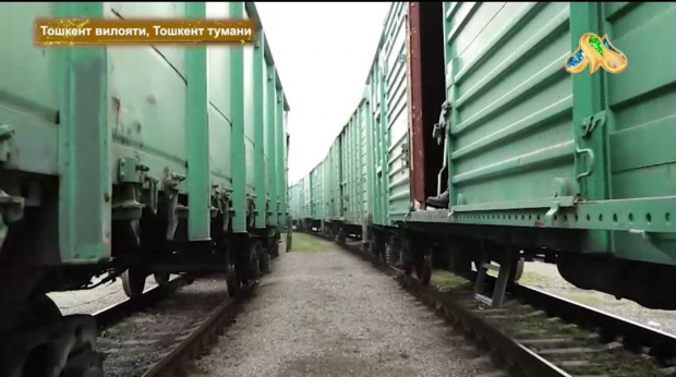 В Ташкенте два пенсионера попали под поезд и получили серьёзные травмы — видео