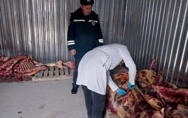 В Ташкент пытались провезти  более 2,5 тонны мяса неизвестного происхождения