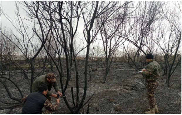 В Сырдарьинской области произошел крупный пожар
