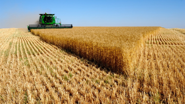Узбекистан стал главным импортером зерна из Казахстана