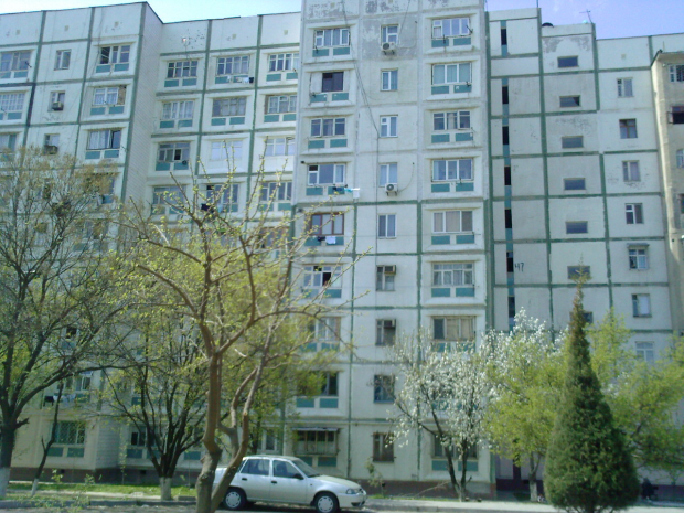 Стоимость аренды квартиры в Ташкенте выросла на 20%