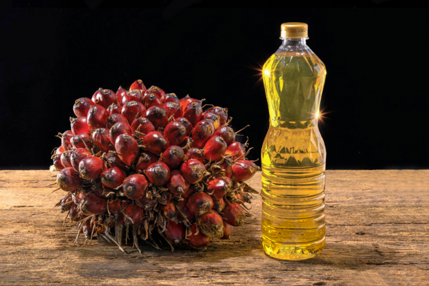 Узбекистан на 60% увеличил закупку пальмового масла из Малайзии