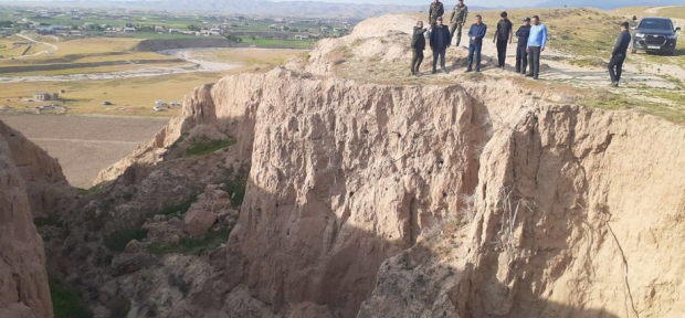 Стало известно, кто дал указание застрелить медведя в Кашкадарьинской области