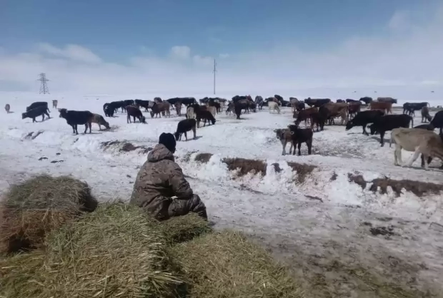 В Кыргызстане выпал снег, в одном из районов введён режим чрезвычайной ситуации