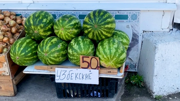 В России сравнили российские и узбекские арбузы