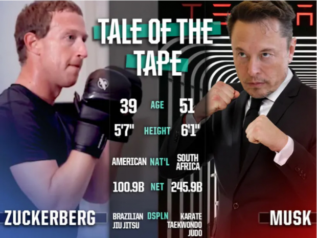 СМИ: UFC организует бой Илона Маска с Марком Цукербергом
