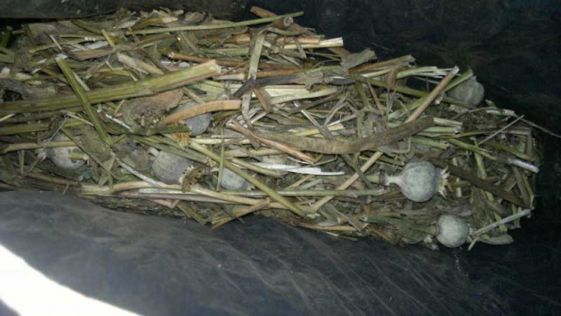 Жительница Ферганской области хранила в своём доме опийный мак в высушенном виде