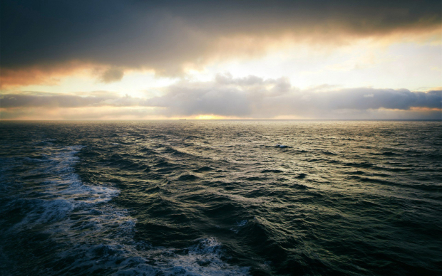Температура вод океанов достигла рекордно высоких показателей