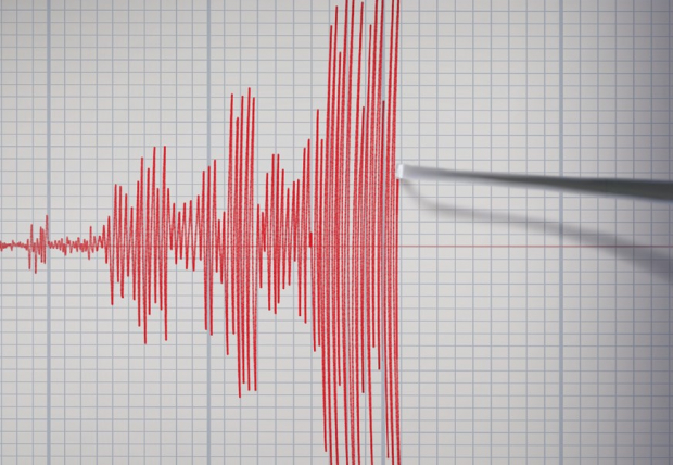 В нескольких регионах Узбекистана ощущались отголоски землетрясения с эпицентром в Афганистане