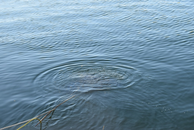 В Андижане утонули двое подростков
