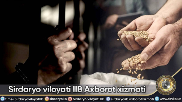 В Сырдарье водитель грузовика и охранник предприятия пытались украсть более 5 тонн зерна